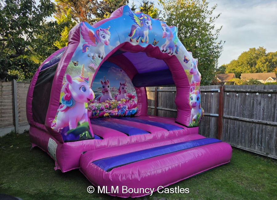 Unicorn Bouncy Castle - Best Bouncy Castle Hire service in Crawley